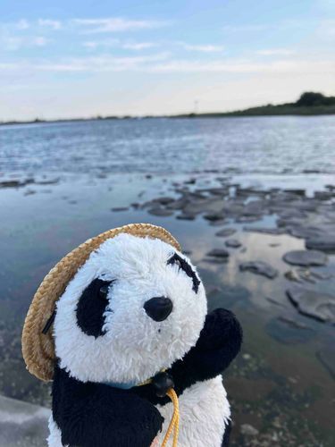 Seaをseeしてきました(時差)