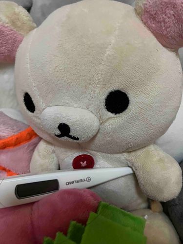 みんな、インフルエンザには気をつけよう！
こり は元気です