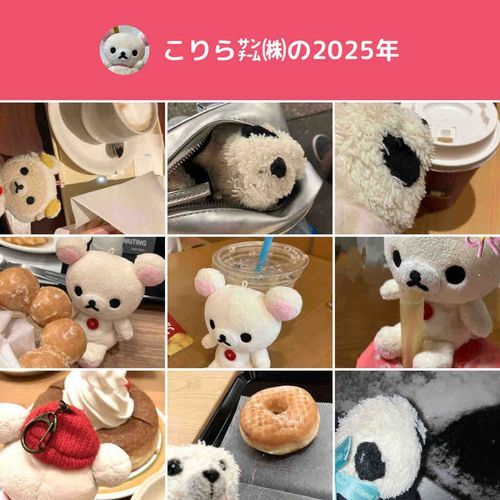 ぬい達よ、ことしも楽しかったね
来年もよろしくおねがいします
