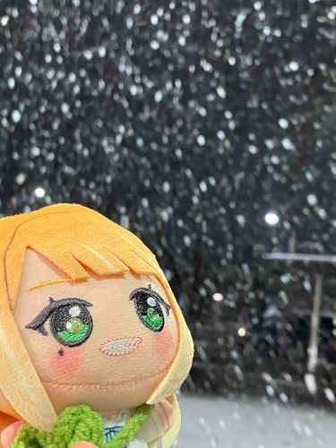 やほやほ〜Pっち⸜❄️⸝