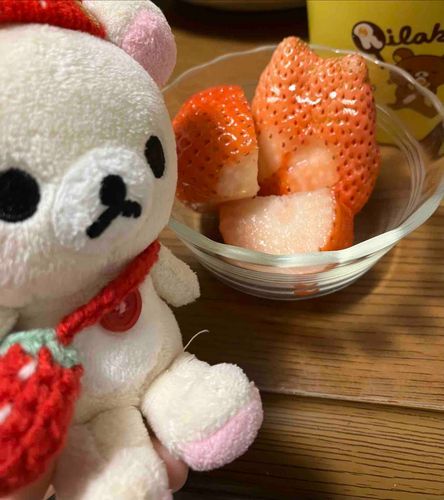 いちごにねこちゃんが宿っていますわ、冬やから