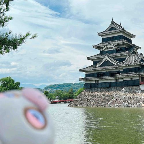 松本城に行ってきたけろー🏯
