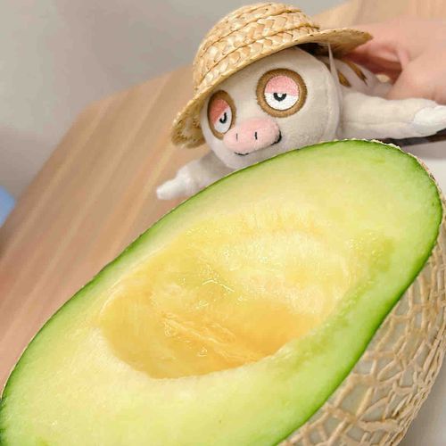 夏が来たけろ☀️
メロン食べると今年の夏も来た感じがするけろ🍈