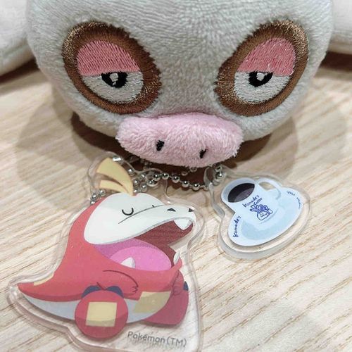 飼い主がけろのこと置いてコメダに行ってきたらしいけろ！！
またけろのことも連れて行ってもらうけろーー
