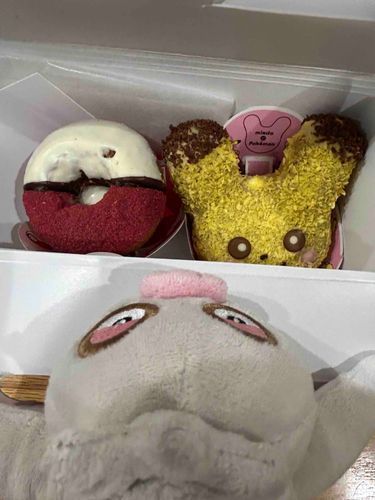 ピカチュウとモンスターボールのドーナツけろ！
けろはどっちを食べていいけろ？

え、飼い主が2個食べるつもりけろ！？食べすぎけろ