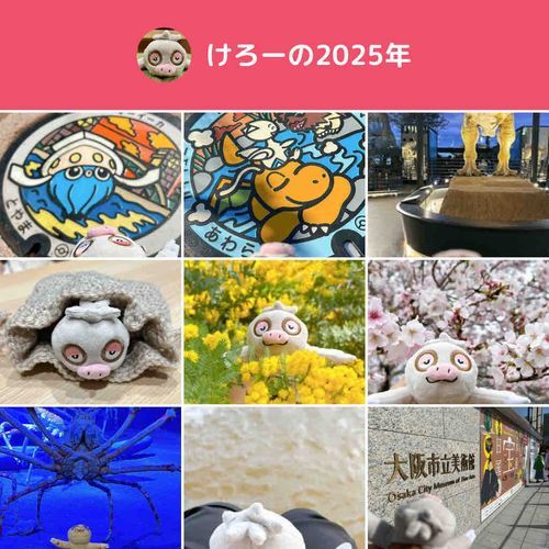 2025年もお世話になりましたけろ
たくさんお出かけして楽しい一年だったけろ
のんびりしてたら年明けちゃったけろ！
みんなの2026年も素敵な一年になりますように
