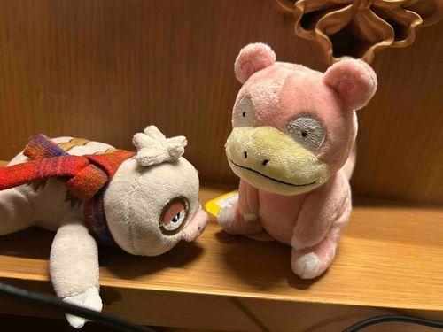 新しく我が家にヤドンのどんどんが仲間になったけろ
いっしょにたくさんお出かけするけろー