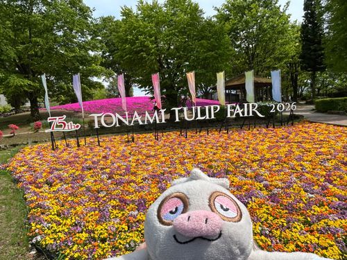 富山県にも旅行に行ってきたけろ
富山県のチューリップはいつかみにいってみたかったけろ
ちょっと曇ってたから日本アルプスとチューリップはうまく撮れなかったけど、たくさん並んだチューリップは綺麗だったけろ