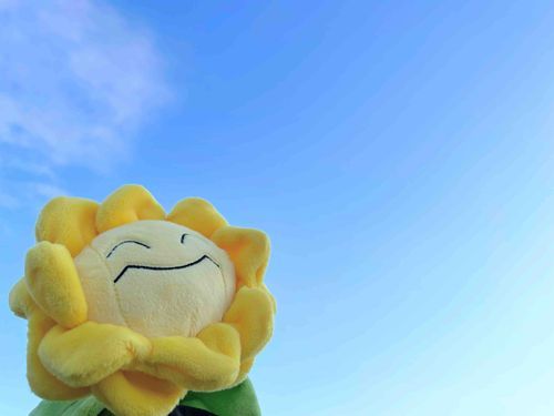 あけおめ。昨年末から新入りになったキマワリのサニーくんだよ。
飼い主のポケモンSVの手持ちポケモンと同じ個体だよ。特技はソーラービームだよ。