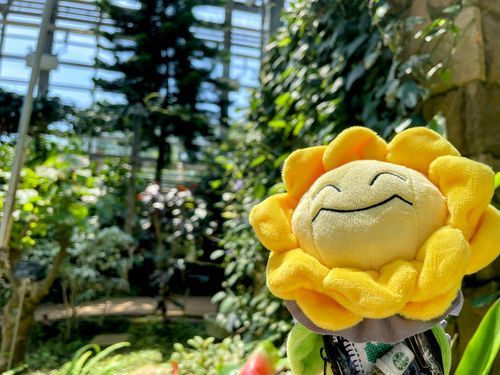 今週分！
ゴールデンウィークって数ある世間的なお休み期間の中でも気温がちょうど良くて好き。