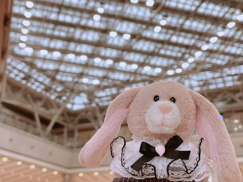 また更新をしばらく忘れてた！！
これは2週間前のデザフェスの思い出！
ロップのデイジー氏につけ襟を買ってあげしました👔