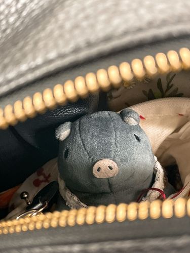 仕事鞄にひそませてこうやって撮ると奥行きが出る