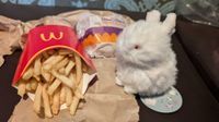 mcdだいすきうさぎさん