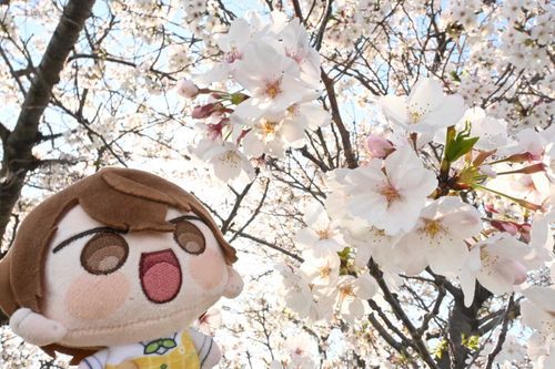 あつい そとは いやだ
このくらいのきおん もどってこないですかね
