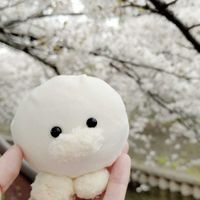 ばぶぶ