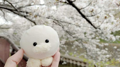 去年のお花見