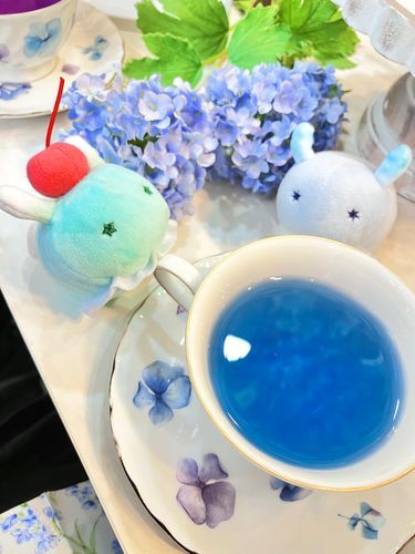 あじさいの おはな いっぱいの おみせで かわいい おちゃかい してきたよ〜！
おちゃも あじさいの いろ！