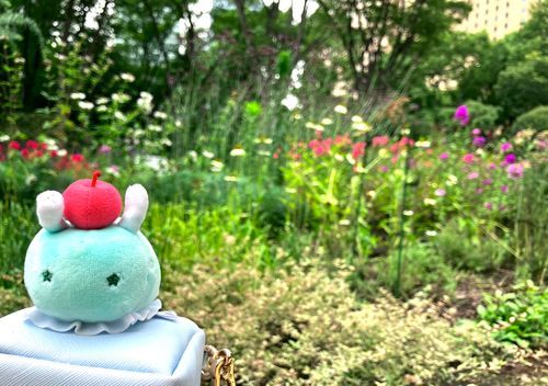 おさんぽして かわいい おはなばたけ みてきたよ〜
いっしょに おしゃしん とるの むずかしいね…