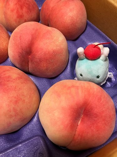 ももももももも🍑