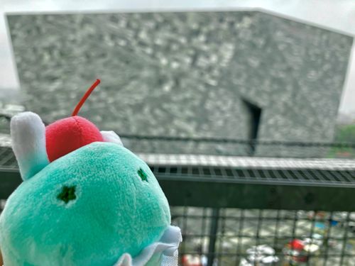 おでかけした ひの しゃしんだよ〜
ほんが いっぱいの おっきい たてもの みてきたよ〜！！
なかの おしゃしんは とるの わすれちゃった…