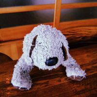 カンペイとおともだち
