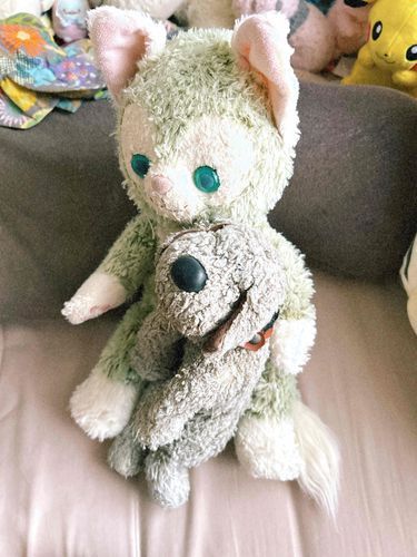 カンペイ「みんな おはよ♡」