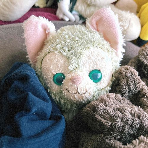 ジェラちゃん「きょうは すごく ぬくぬくぬく に してもらったの！」
