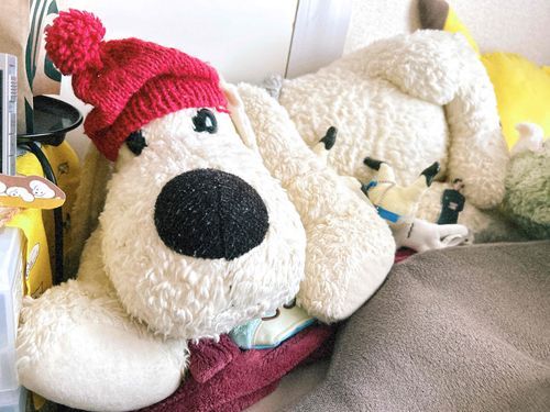 ぶーちゃん「メリークリスマス みんなのところ に プレゼント は とどいたかな？」

ぶーちゃんサンタさんお疲れさま。