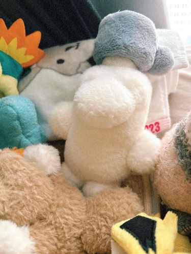 水筒ちゃん、クリスマスなのにずっと寝ていたね。


たぬきくん「クリスマスパーティー すごく たのしかった！って おしえてくれたよ✨」
