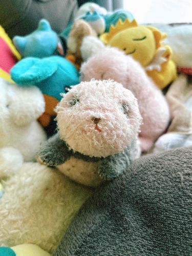 みんな おそくなったけど 明けましておめでとうね

おねえちゃんたちは カンペイのごしゅじんを いつもより いやしていたのよ