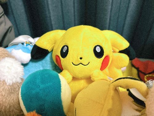 ピピちゃんのおはよう顔、すごくかわいい顔をしていたのよね☺️