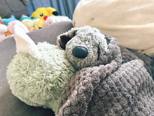 カンペイ「ご主人 おはよう」