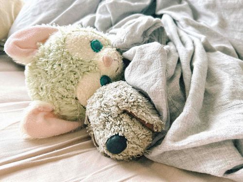 カンペイ「今日は さむさむだから おふとん くるまれたい だよー！」