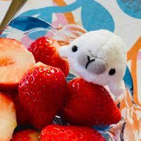 綿豆とかぶ