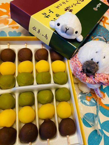 だんご…だんごだ。
これがだんご…。(･∞･ﾐэ )Э