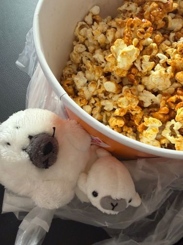 ごしゅじん…われわれをおいてえいがへ…？！
(ホラーだったから置いて行った)