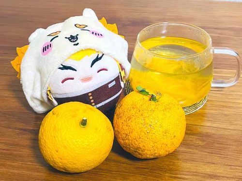 ゆずジャムをいただいた！
おいしいね あったまるね！ふわごくさん！