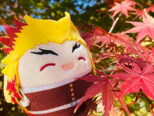 もみじだ🍁