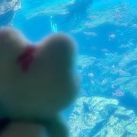 もち太郎