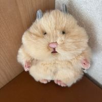 ふわはむ