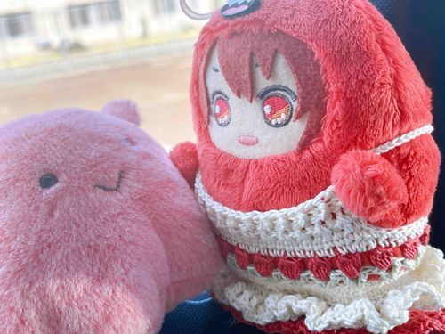 最近なかよしのめんだこちゃん！メンちゃんて名前でヌシが水族館から連れてきた！色がにぃと似てる！