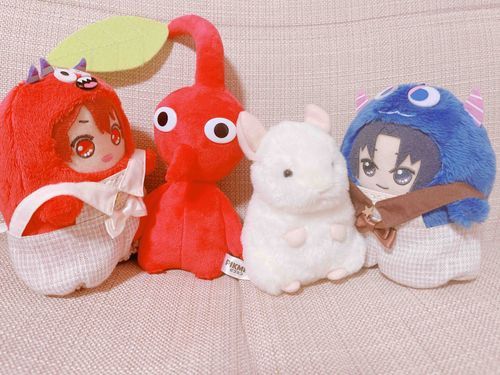最近仲間入りした子たち！オレと同じ色とモンいおが好きそうなもふもふ！