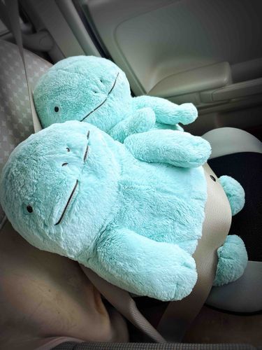 ヌシ、さいきんまいにち　つうきんに1じかんいじょうかかってるぬ。このまえは20ぷんあればつくだぬのに　3じかんかかったっていってたぬ。ゆきさんいっぱいでたいへんぬ。きょうは　ぬおとぬーたんがついてきたぬ！ヌシ！いくだぬよー！