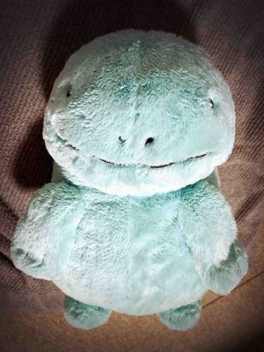 ぬぅぅ……ヌオちゃんおふろにいれられたぬ……ガスファンヒーターのまえでかんそうちゅうのすがたをヌシにとられたぬ……けっしてただねてるわけではないぬ……ねてるわけでは……な……(-𐃷-)zzz