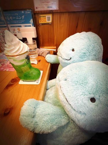 ぬん！ぬおとぬーたん、はじめてこめだなるところにつれていってもらっただぬ！チビぬしがこのさむいのにクリームソーダのんでさむがってただぬからぬおたちももらっただぬ！ソフトクリームがびみだぬね(˙𐃷˙)