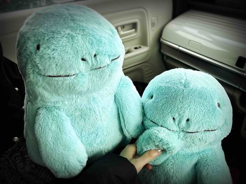 このまえおでかけしたときの　おしゃしんだぬ！ヌシ、かふんしょうとやらで　きのうのよるは　めそめそしながら「ヌオちゃん水タイプなんだからどうにかしてよ😭」ってむちゃぶりしてきたぬ……こまるぬ……かふんさんはヌオたちのふわふわにもくっつくだぬからね、てごわいだぬ(˙𐃷˙)