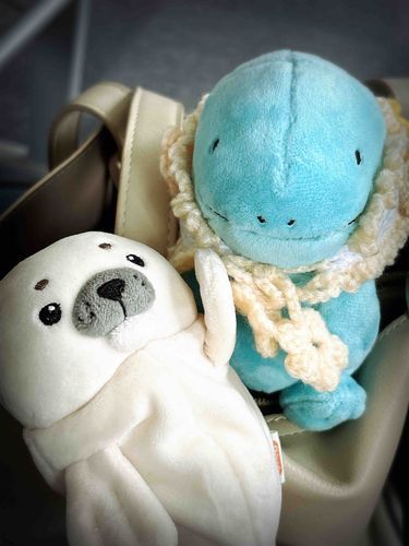 ちびヌオだぬ(˙𐃷˙)まいにちこちらのアザラシぶちょーさんとヌシとしゅっしゃしてるぬ。ヌシ、しんねんどだからいそがしいだぬ。きょうもヌシのかんしをがんばるぬ(˙𐃷˙)