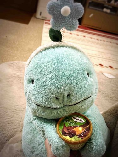 ぬおだぬ！ヌシがちょっといいアイスかってきたぬから、いっしょにたべたぬ！ちょっといいアイスおいしかったぬ、またおねがいしますぬ(˙𐃷˙)