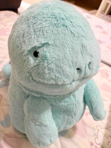 た、たーたん…なんか、まゆげ、生えてないだぬ…？どうしたぬ？今日はこわいニュースがたくさんあったぬね……みぬぁさんは大丈夫ぬでしょうか？ヌオたちはげんきですぬ！たーたんはまゆげ生えたぬけどね……(˙𐃷˙)