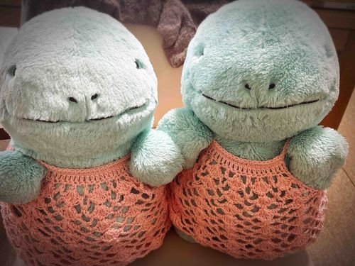 見てくださいぬ、ヌシにおそろワンピ編んでもらいましたぬ！これで夏のおでかけはかんぺきだぬね(˙𐃷˙)